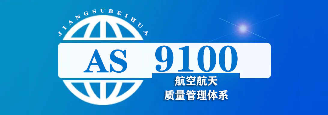 as9100.jpg