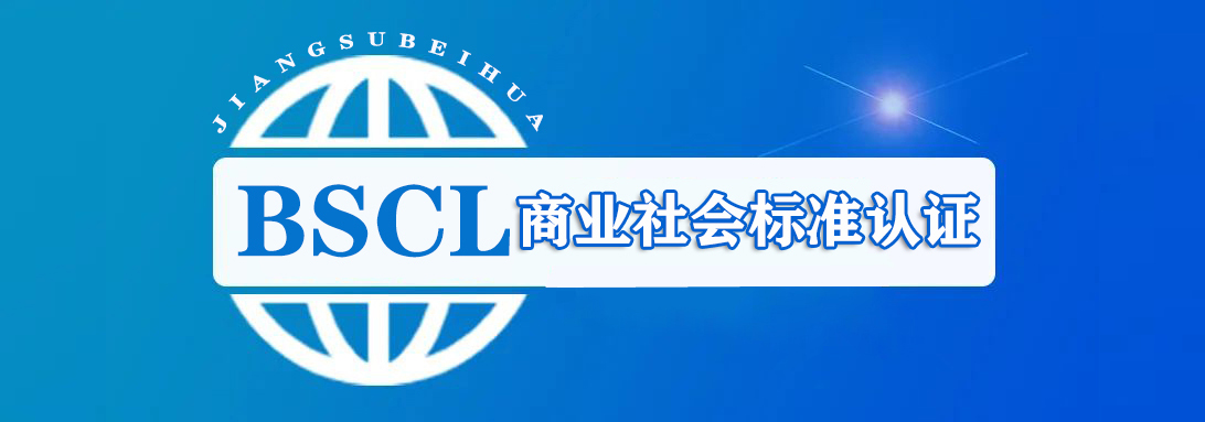 BSCL 认证咨询