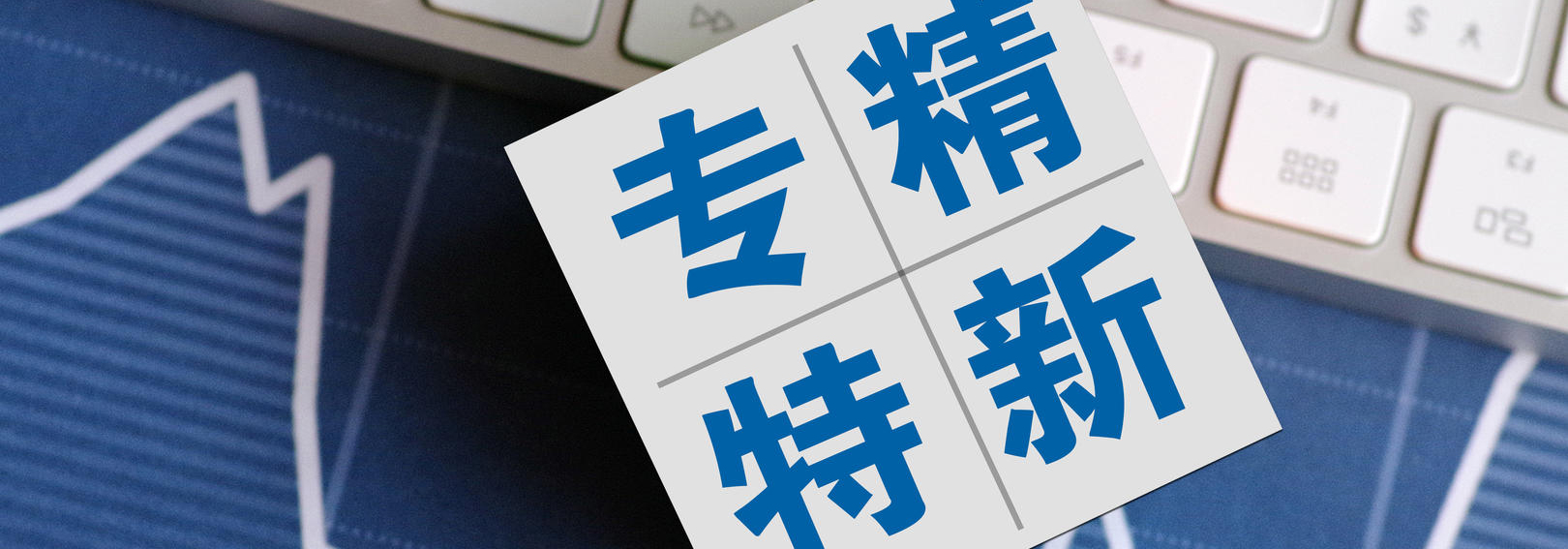 专精特新