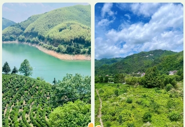 微信截图_20250814164622.png